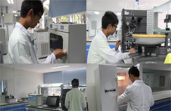 304不锈钢玻璃爪材质检测 304不锈钢玻璃爪材质检测